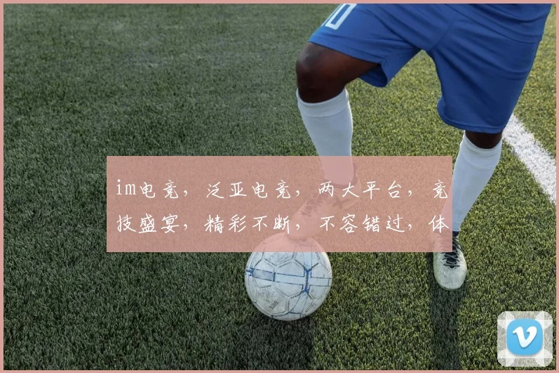 im电竞，泛亚电竞，两大平台，竞技盛宴，精彩不断，不容错过，体验非凡